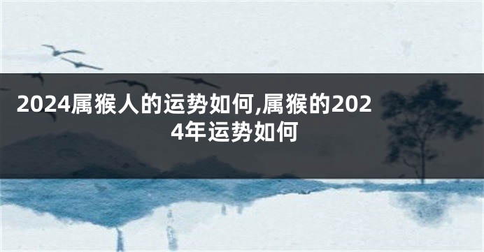 2024属猴人的运势如何,属猴的2024年运势如何