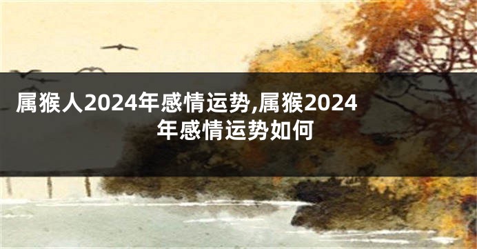 属猴人2024年感情运势,属猴2024年感情运势如何