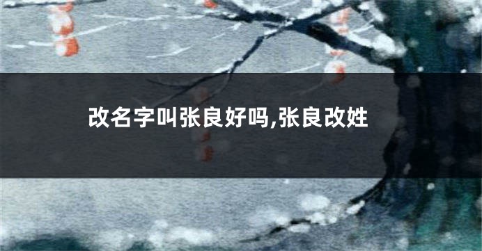 改名字叫张良好吗,张良改姓