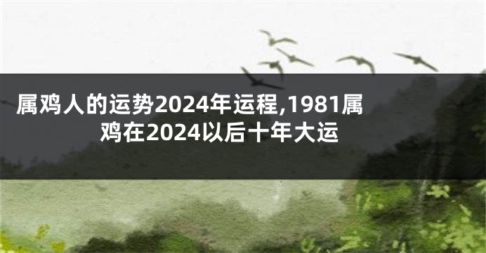 属鸡人的运势2024年运程,1981属鸡在2024以后十年大运