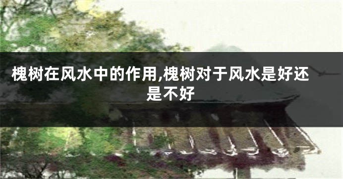 槐树在风水中的作用,槐树对于风水是好还是不好
