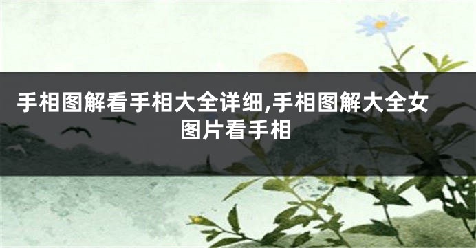 手相图解看手相大全详细,手相图解大全女图片看手相