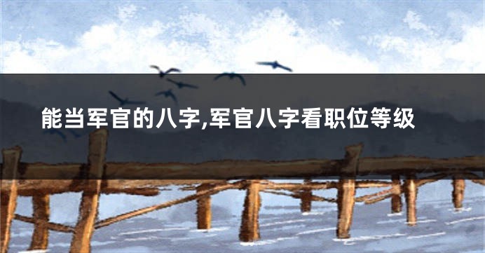 能当军官的八字,军官八字看职位等级