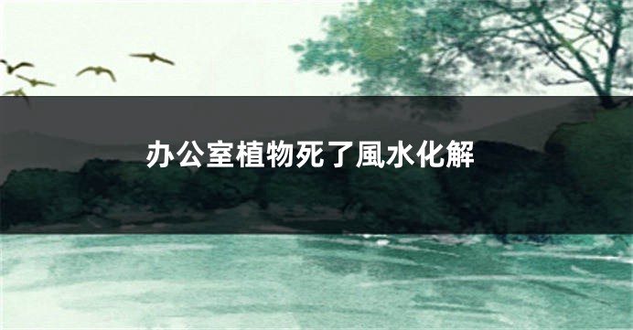 办公室植物死了風水化解