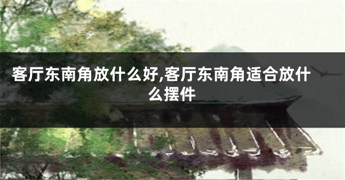 客厅东南角放什么好,客厅东南角适合放什么摆件