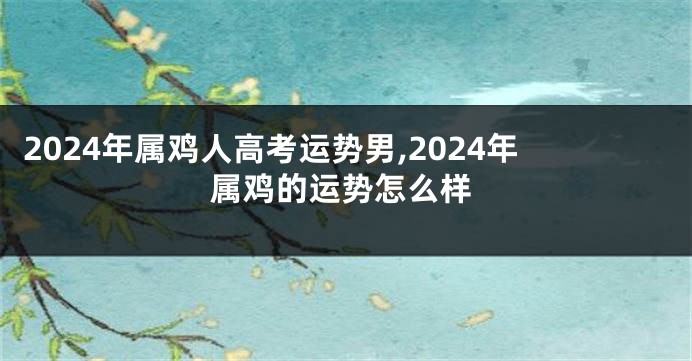 2024年属鸡人高考运势男,2024年属鸡的运势怎么样