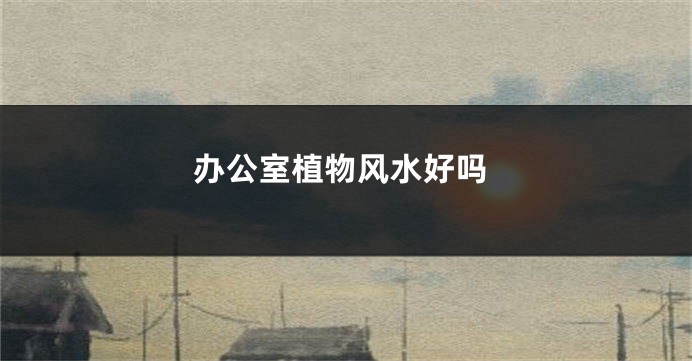 办公室植物风水好吗
