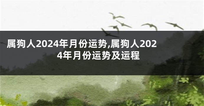 属狗人2024年月份运势,属狗人2024年月份运势及运程