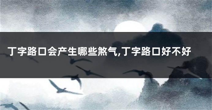 丁字路口会产生哪些煞气,丁字路口好不好
