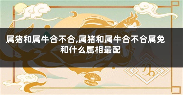属猪和属牛合不合,属猪和属牛合不合属兔和什么属相最配