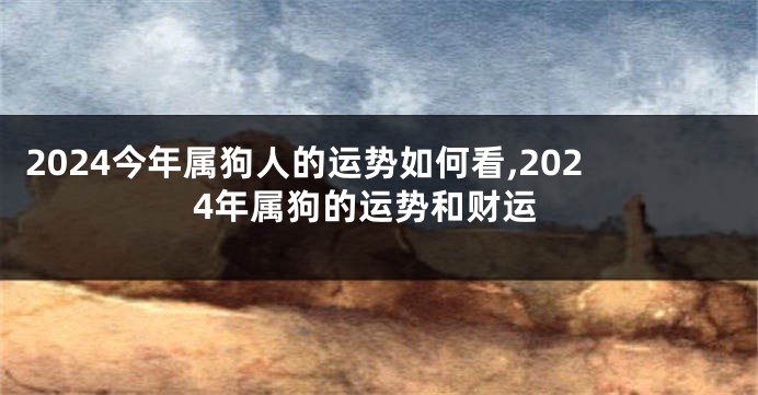 2024今年属狗人的运势如何看,2024年属狗的运势和财运