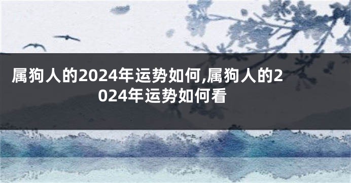 属狗人的2024年运势如何,属狗人的2024年运势如何看
