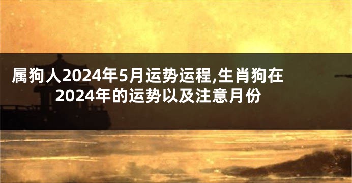 属狗人2024年5月运势运程,生肖狗在2024年的运势以及注意月份