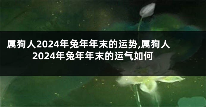 属狗人2024年兔年年末的运势,属狗人2024年兔年年末的运气如何