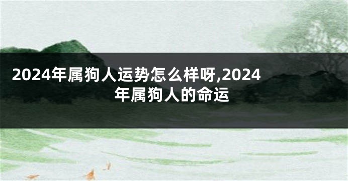 2024年属狗人运势怎么样呀,2024年属狗人的命运