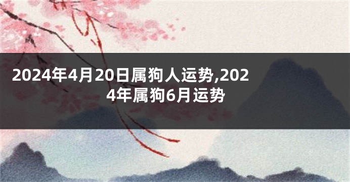 2024年4月20日属狗人运势,2024年属狗6月运势