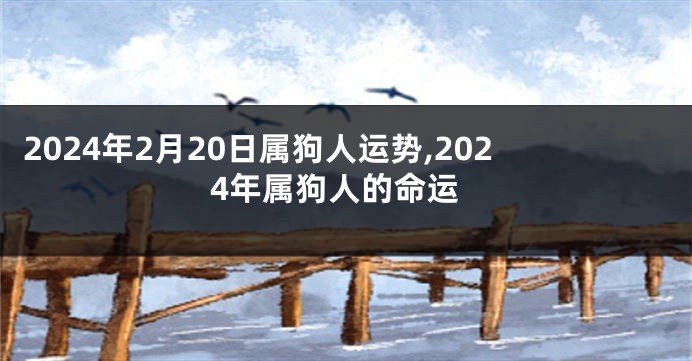 2024年2月20日属狗人运势,2024年属狗人的命运
