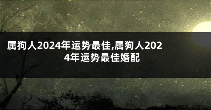 属狗人2024年运势最佳,属狗人2024年运势最佳婚配