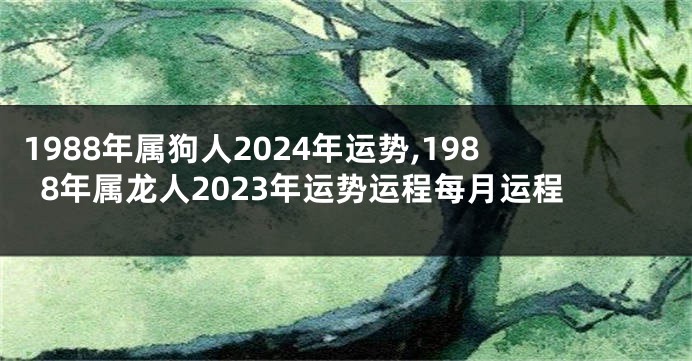 1988年属狗人2024年运势,1988年属龙人2023年运势运程每月运程