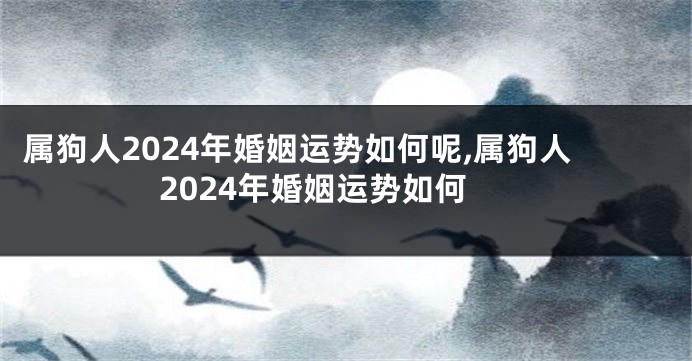 属狗人2024年婚姻运势如何呢,属狗人2024年婚姻运势如何