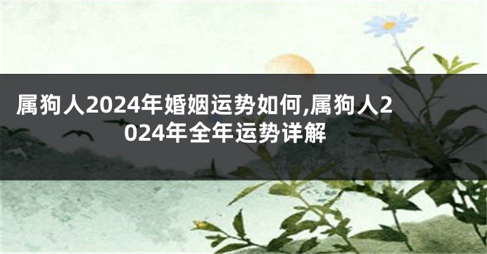 属狗人2024年婚姻运势如何,属狗人2024年全年运势详解