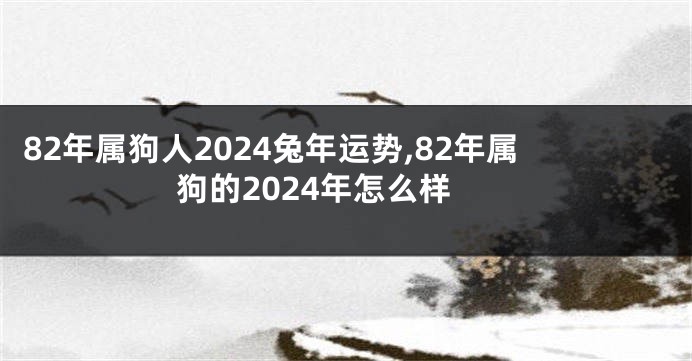 82年属狗人2024兔年运势,82年属狗的2024年怎么样