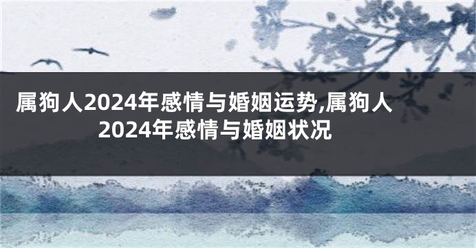属狗人2024年感情与婚姻运势,属狗人2024年感情与婚姻状况