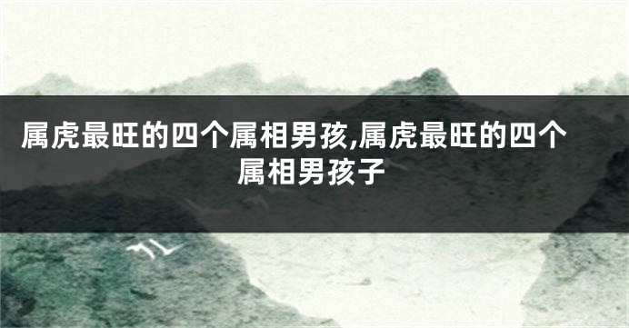 属虎最旺的四个属相男孩,属虎最旺的四个属相男孩子