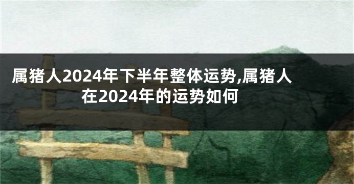 属猪人2024年下半年整体运势,属猪人在2024年的运势如何