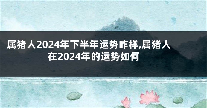 属猪人2024年下半年运势咋样,属猪人在2024年的运势如何