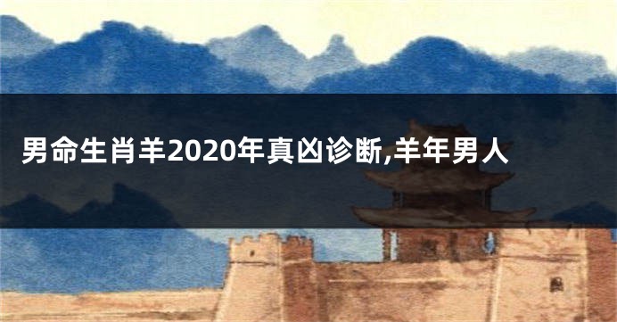 男命生肖羊2020年真凶诊断,羊年男人