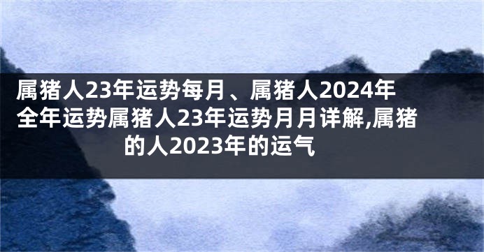 属猪人23年运势每月、属猪人2024年全年运势属猪人23年运势月月详解,属猪的人2023年的运气