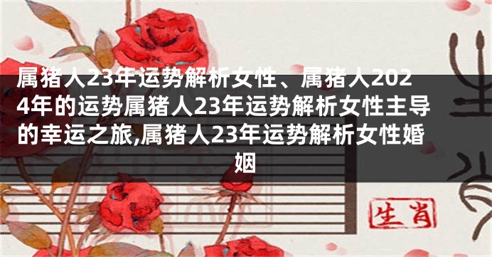 属猪人23年运势解析女性、属猪人2024年的运势属猪人23年运势解析女性主导的幸运之旅,属猪人23年运势解析女性婚姻