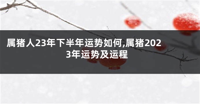 属猪人23年下半年运势如何,属猪2023年运势及运程