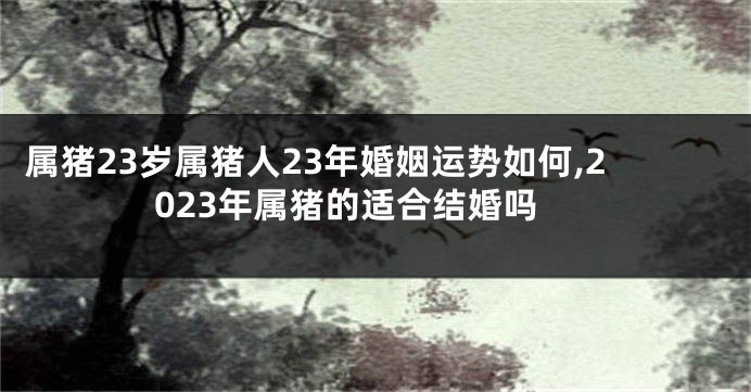 属猪23岁属猪人23年婚姻运势如何,2023年属猪的适合结婚吗