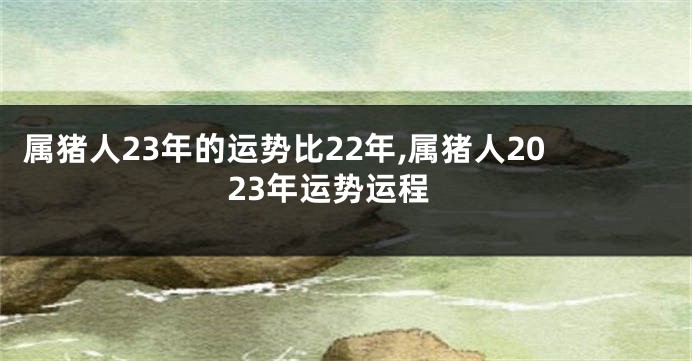 属猪人23年的运势比22年,属猪人2023年运势运程