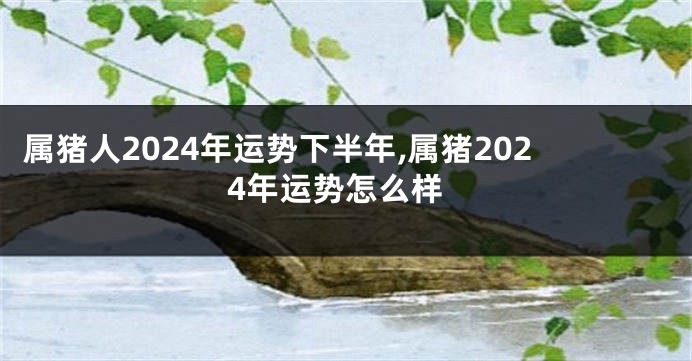 属猪人2024年运势下半年,属猪2024年运势怎么样