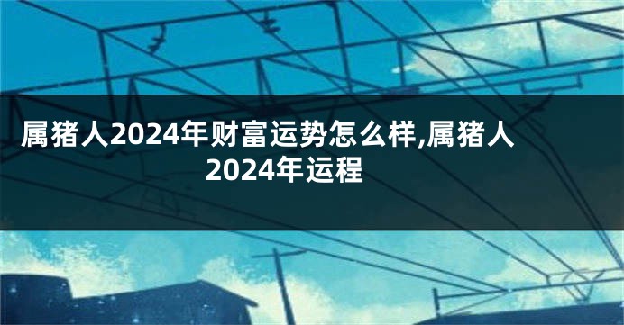 属猪人2024年财富运势怎么样,属猪人2024年运程