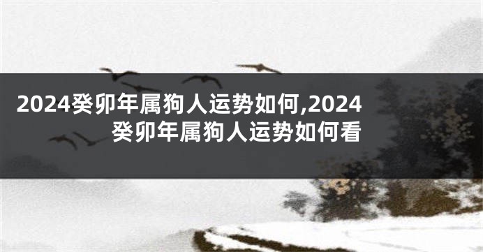 2024癸卯年属狗人运势如何,2024癸卯年属狗人运势如何看