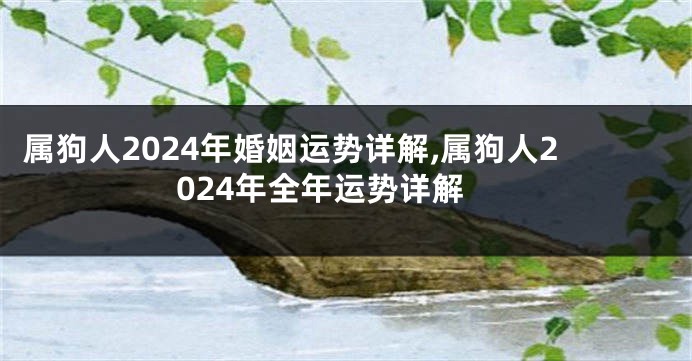 属狗人2024年婚姻运势详解,属狗人2024年全年运势详解