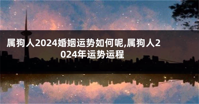属狗人2024婚姻运势如何呢,属狗人2024年运势运程