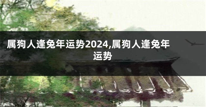 属狗人逢兔年运势2024,属狗人逢兔年运势