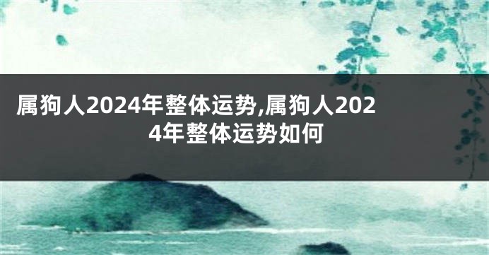 属狗人2024年整体运势,属狗人2024年整体运势如何