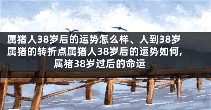 属猪人38岁后的运势怎么样、人到38岁属猪的转折点属猪人38岁后的运势如何,属猪38岁过后的命运