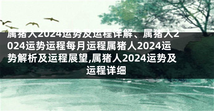 属猪人2024运势及运程详解、属猪人2024运势运程每月运程属猪人2024运势解析及运程展望,属猪人2024运势及运程详细