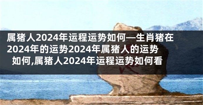 属猪人2024年运程运势如何—生肖猪在2024年的运势2024年属猪人的运势如何,属猪人2024年运程运势如何看