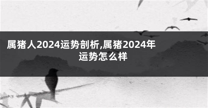 属猪人2024运势剖析,属猪2024年运势怎么样