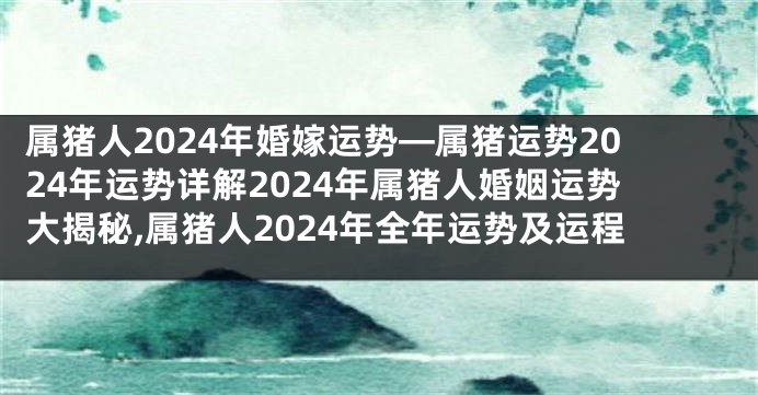 属猪人2024年婚嫁运势—属猪运势2024年运势详解2024年属猪人婚姻运势大揭秘,属猪人2024年全年运势及运程