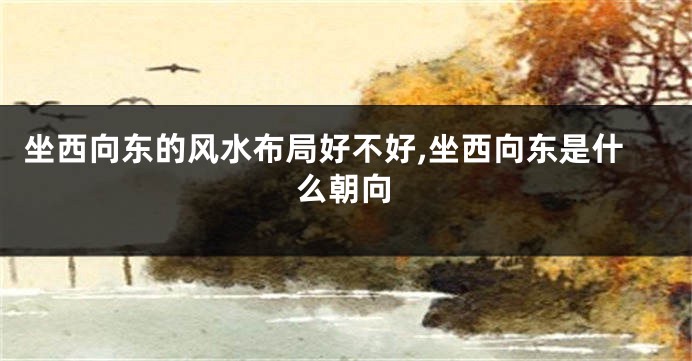 坐西向东的风水布局好不好,坐西向东是什么朝向