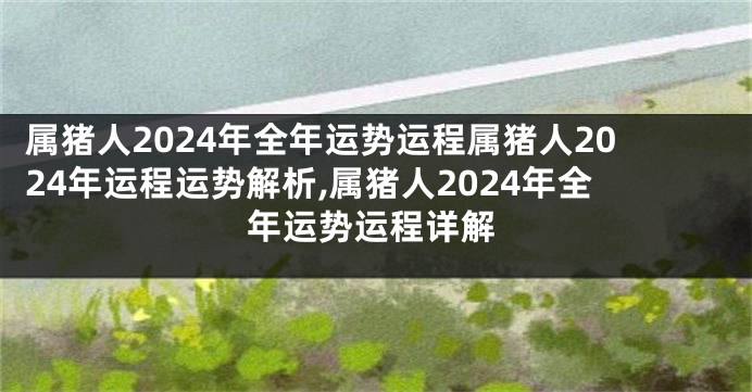 属猪人2024年全年运势运程属猪人2024年运程运势解析,属猪人2024年全年运势运程详解